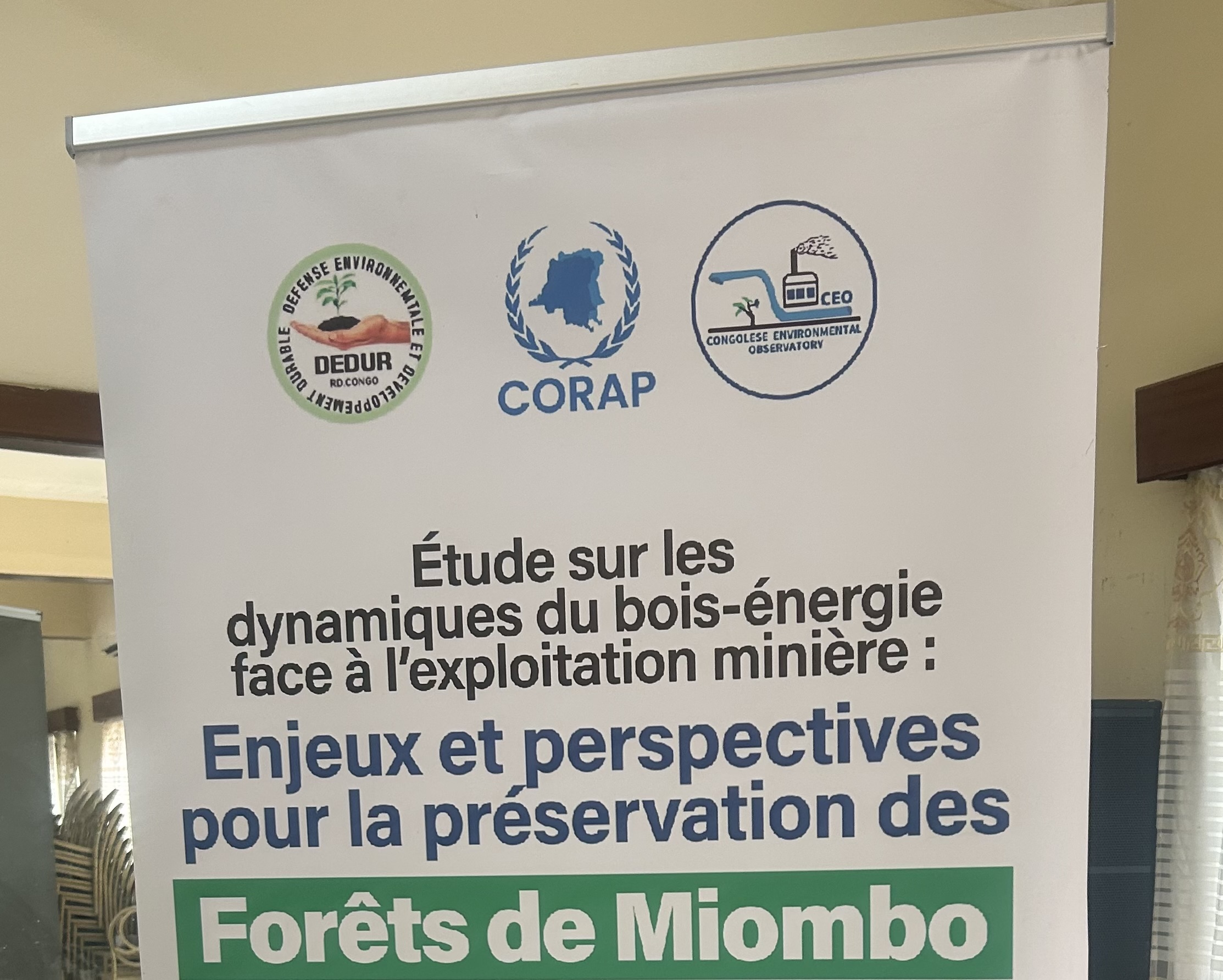 Lubumbashi : chercheurs et société civile à la recherche de solutions pour les forêts de Miombo